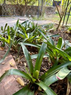 Mountain Wellness Retreat - 2