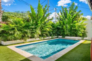 Mazurka 19 - Palm-Eagle Beach - 0