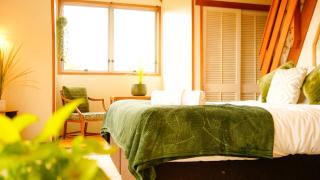 Ora Springs Retreat - 8