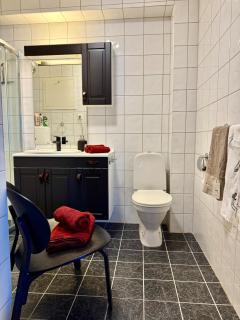 Unique view! Modern apartment with sauna - 9