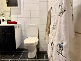 Unique view! Modern apartment with sauna - 5