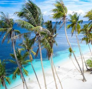 The Cat And The Kraken Jacuzzi Suites Paliton - 8