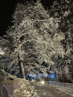 Holiday home Villa Mira - 6