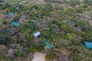 Wild Trails Yala by Suri - 7