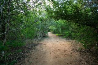 Wild Trails Yala by Suri - 8