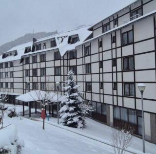 Apartman Nik Brzeće Kopaonik - 8
