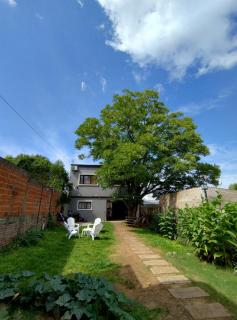 El gran nogal colon - 7