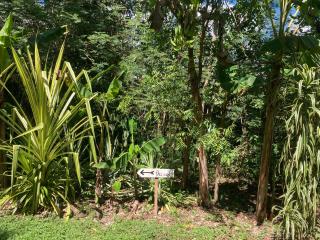 Serene and peaceful farmstay near Xaibe - 6