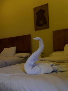 Scarab pyramids view - 0