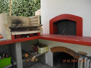 Green House - Terracina - 3