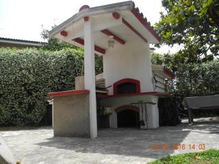 Green House - Terracina - 2