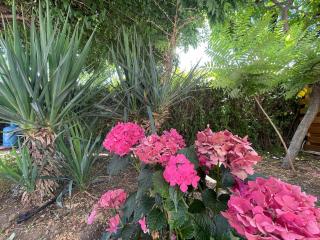 Lozenets Luxury Pool Villa by Lozenetsvillas - 4