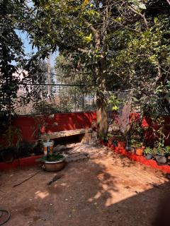 Single house with Garden for your stay - 7