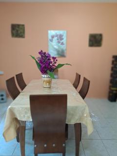 Ritu's Vila - Flic en Flac - 1