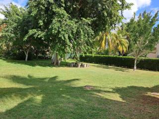 Wolmar Vila # 6 - Flic-en-Flac - 8