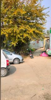 Hotel White Night - 6