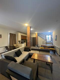 Cottage Mountain Dew in Bakuriani - 5