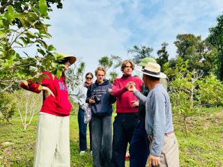 Cô Tô Lương Chi - 6