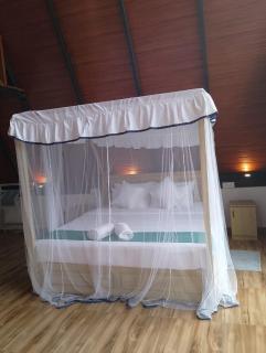 The crest Sinharaja - 9