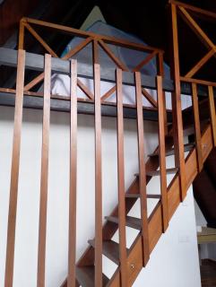 The crest Sinharaja - 6