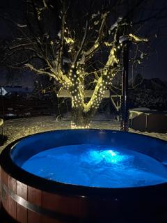 Wiejska Sielanka noclegi Ustroń - 8