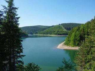 Gasthaus und Pension Zur Libelle - 8