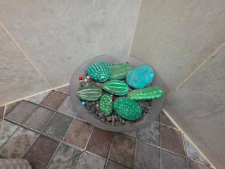 Casa Djarmai Apartments - 3