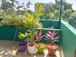 ASSHAPPYSTAYINN HOTEL - 1