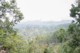 MaWilora Homestay Ella - 9