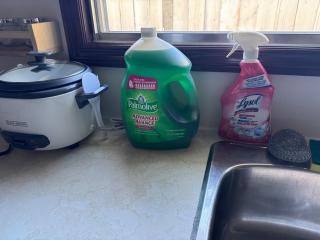 Fully furnished House near GrayNuns, Millwoods - 8