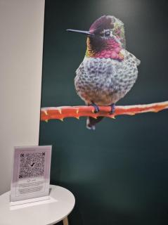 Appartement "Le Colibri" centre Cholet 5pers - Atacames - 1