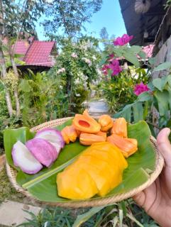 Savet Family Homestay & Tour - 9