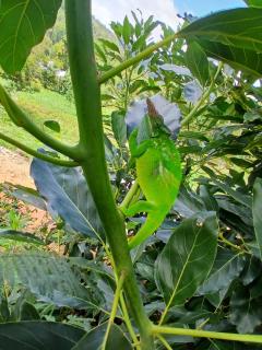 Jegestal Serenity Homestay Camping and Tours - Lushoto - 8