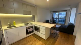 Nest Apartments on Rose Lane - 5