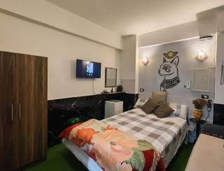 Bastet Glow Artistic studio in zamalek - 8