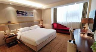 Jinjiang Metropolo Shanghai Minhang - 1