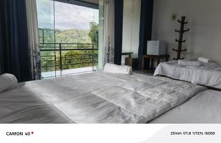 Why Not Guset House Ella - 1