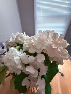 Eagle Pamir Guest House - 1