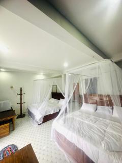 Why Not Guset House Ella - 2