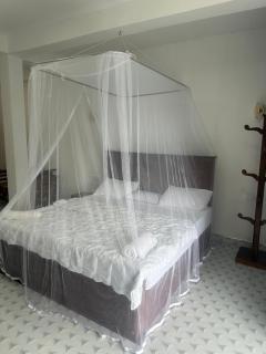 Why Not Guset House Ella - 7