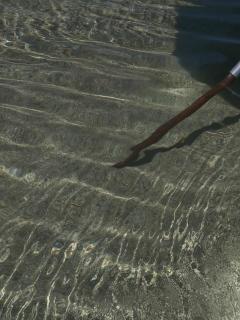 Triplex Magia - praia de Maracaípe-Porto de Galinhas - 0