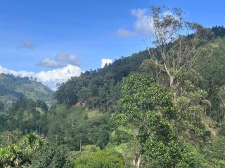 Why Not Guset House Ella - 9