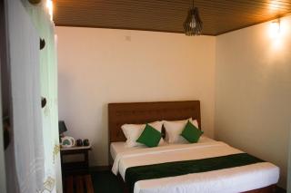 The Forest villa - 3