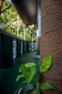 The Forest villa - 1