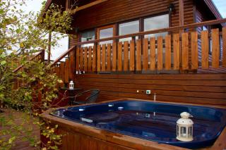 Brekkugisting Villa - Blaskogabyggd - 4