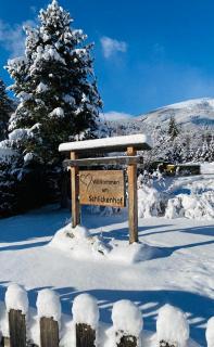 Apartment Schlickenhof - 9