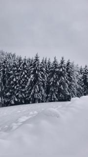 Exklusives Naturjuwel - Kühbartl Simmerl - 7