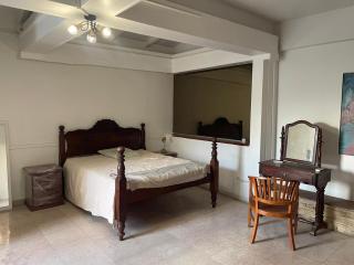 Loft lumineux et calme tout à pied - 0