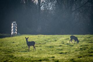 B&B Stations Koffiehuis - 3