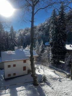 Фокс Хаус FOX HOUSE - 8